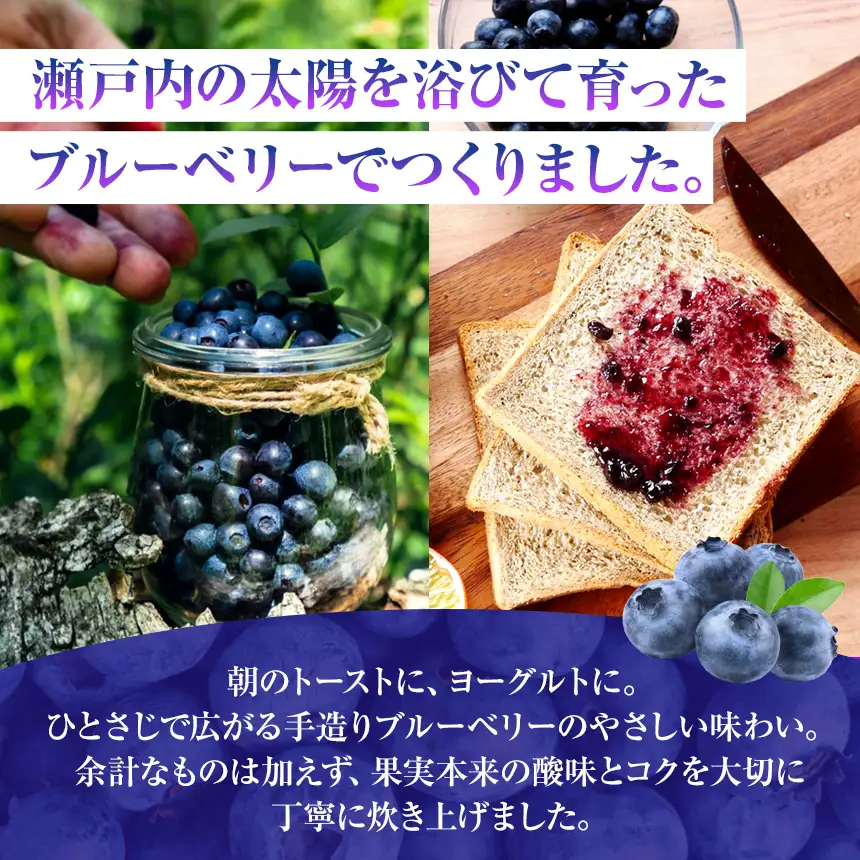 大粒 で 果肉たっぷり！ 平生町産 ブルーベリー ジャムセット（ 8個 ）