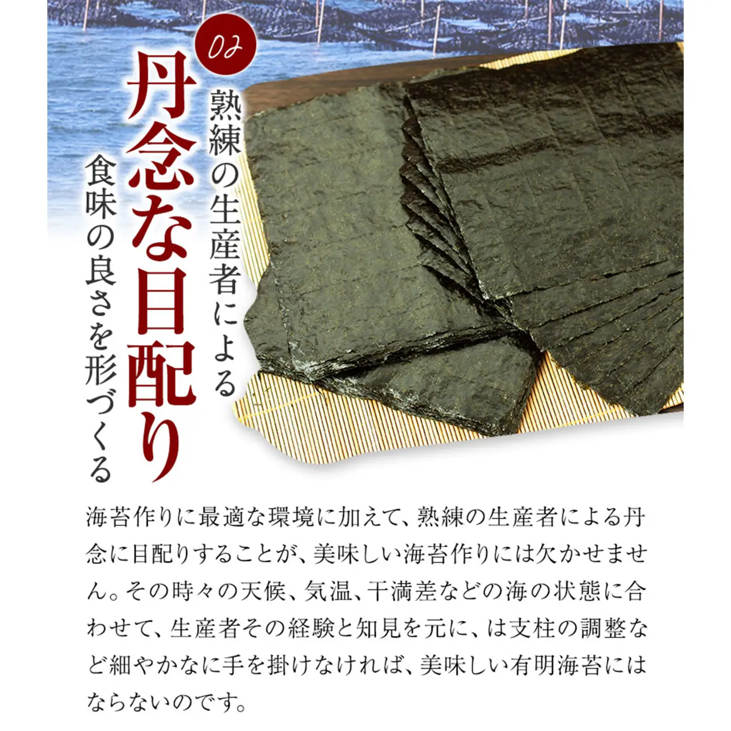 【6ヶ月定期便】有明海苔 全型 40枚