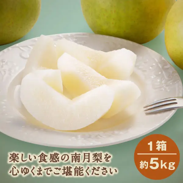 YN-05 南月梨5kg