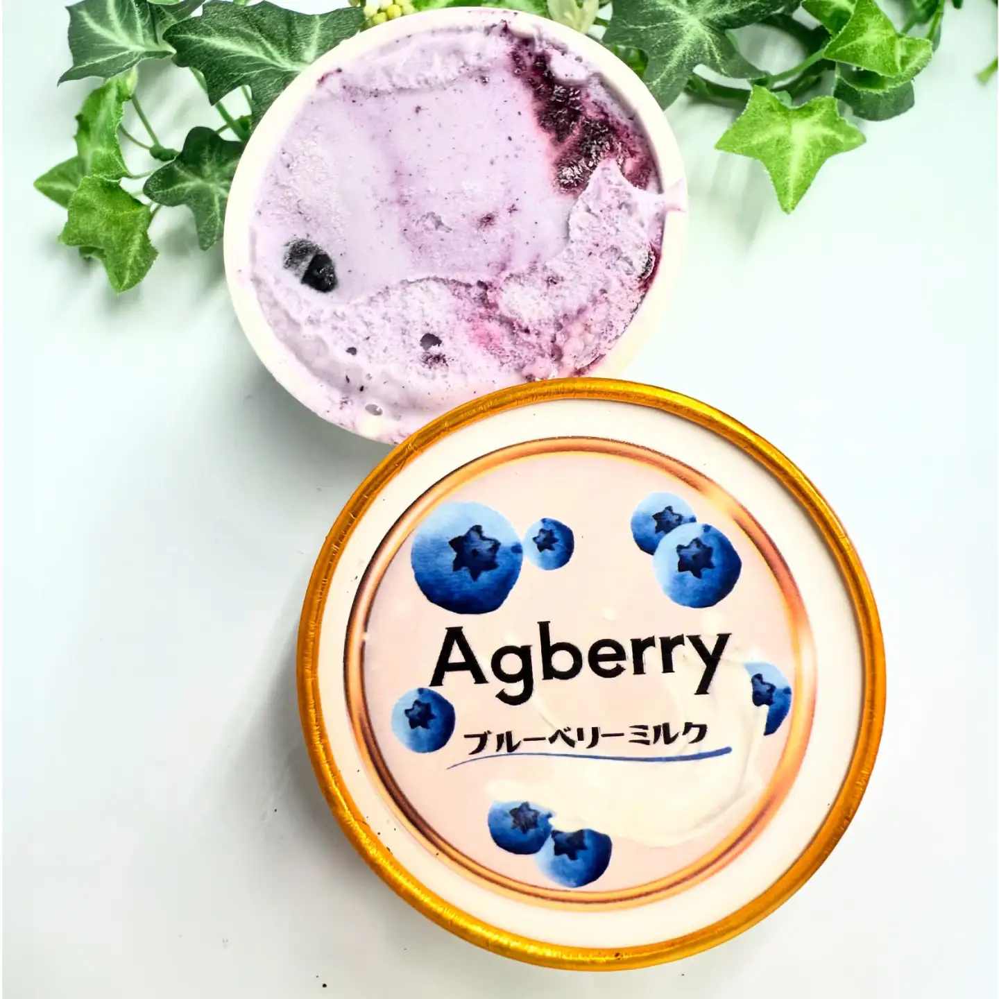 冷凍ブルーベリーアイス(ブルーベリーミルク) 計10個セット / アイス あいす 氷菓子 フルーツ ブルーベリー ぶるーべりー ミルク デザート おやつ お菓子 カップ カップアイス 夏 ひんやり 熊本県 冷凍 菊陽町【アグファーム株式会社】[BHCX017]