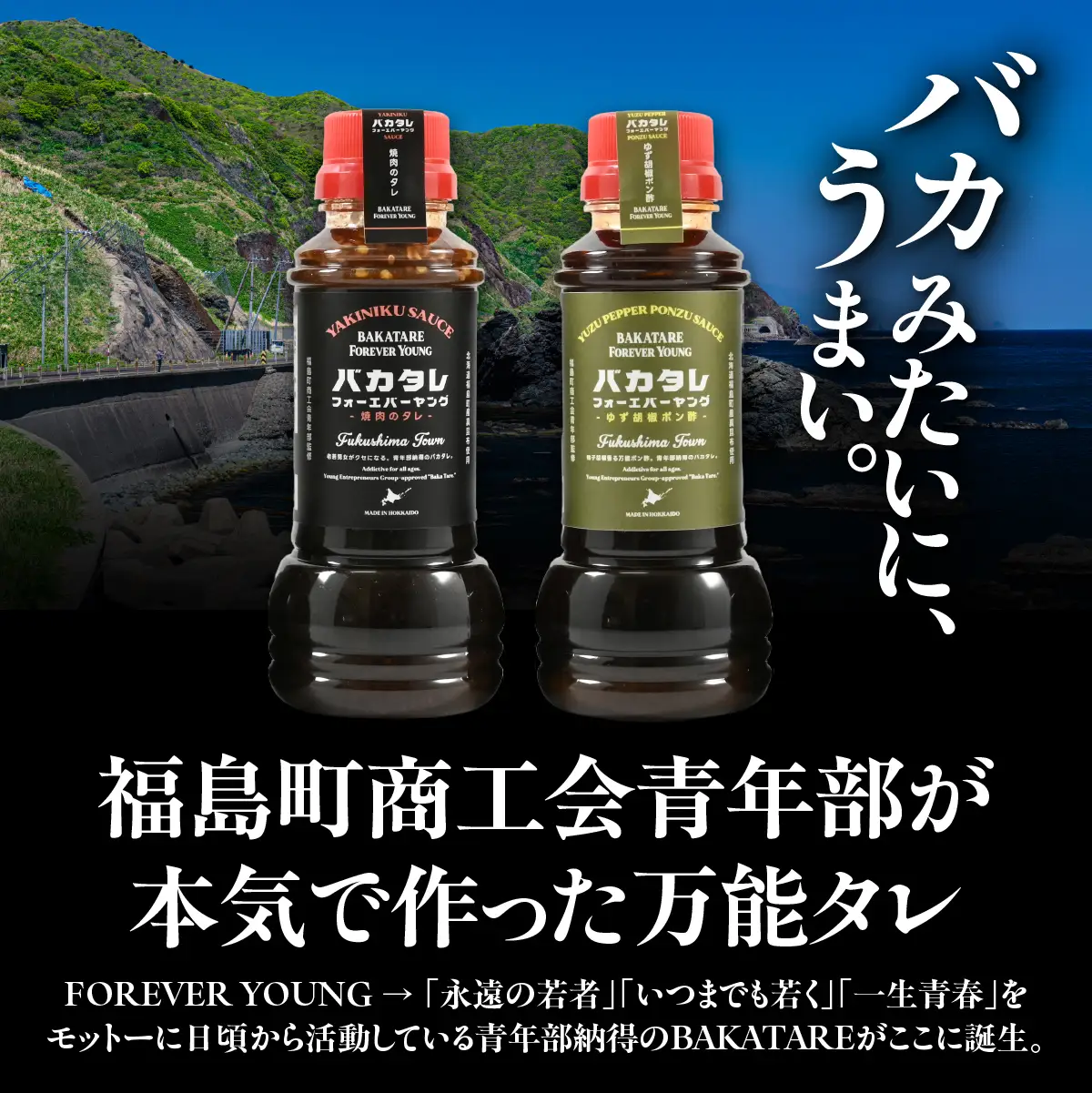 バカタレフォーエバーヤング 焼肉のタレ×3本セット FKB081