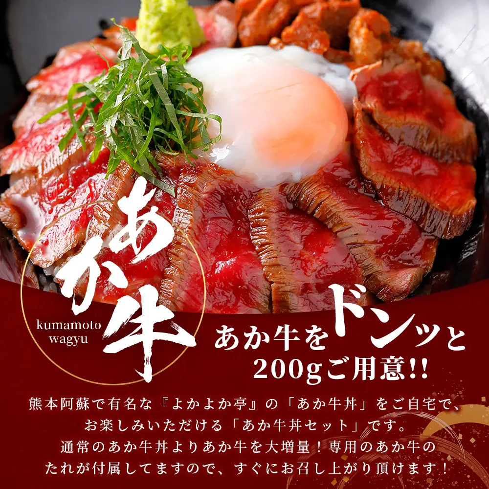 熊本名物 あか牛丼(4人前)セット あか牛モモ400g(200g×2)・あか牛のタレ240g(40g×6)  あか牛 牛肉 肉 お肉 国産牛 和牛 タレ付き 熊本県 牛丼 046-0755