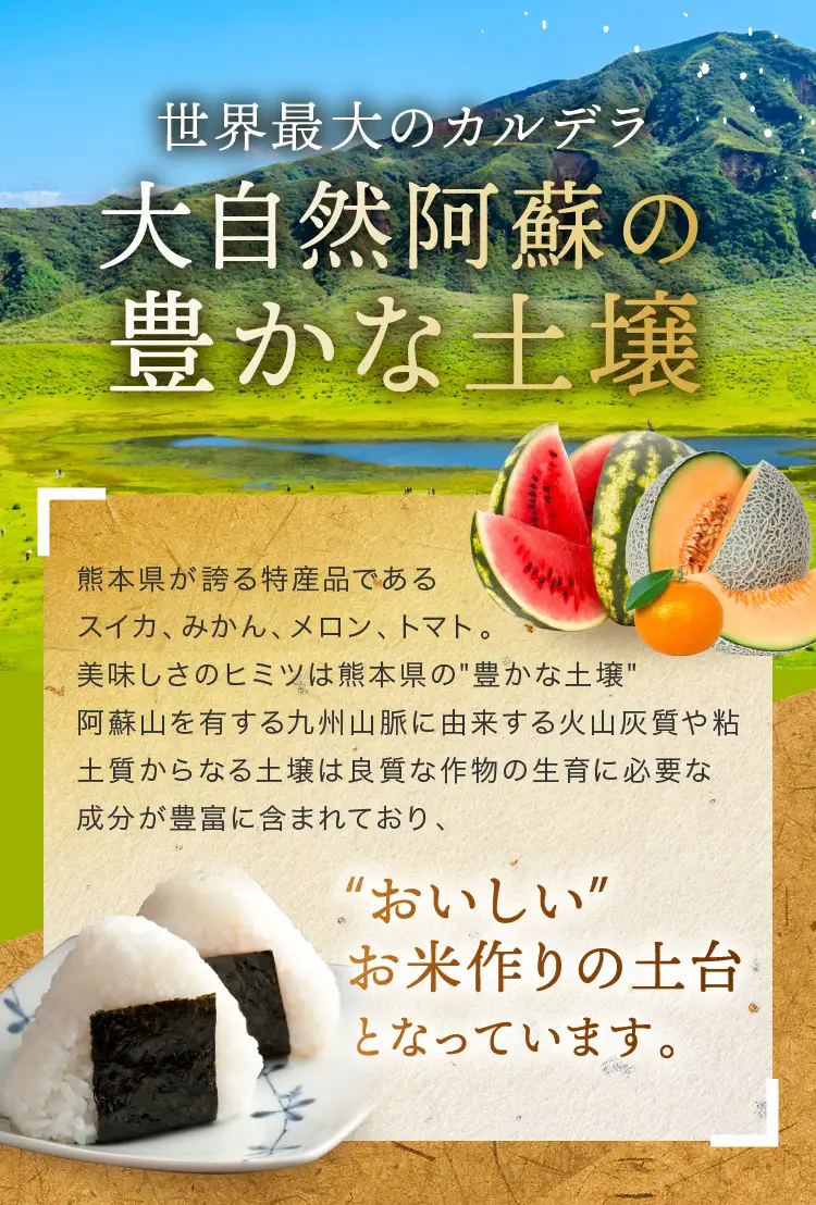 熊本県産 ひのひかり 白米 30kg