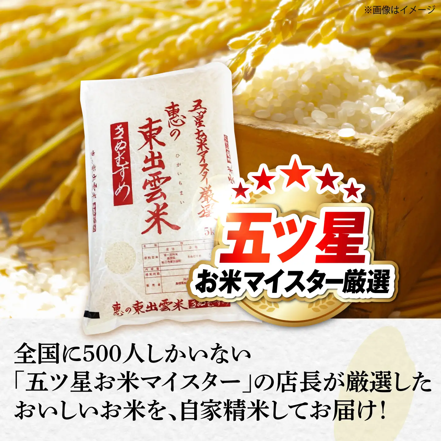 【精米】きぬむすめ5kg 白米 5kg(5キロ×1) ブランド米 [ALBU017]お米