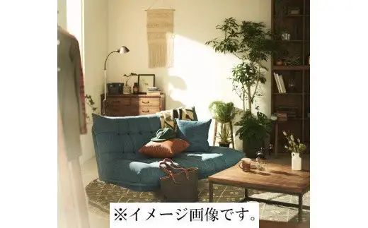 2Pソファ　BEL脚無　02DEMデニム_56-226-1