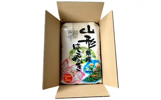 ≪2026年9月発送≫ 令和7年度 山形県産 はえぬき 10kg(5kg×2) 精米 白米 お米 米 米米 新米 ご飯 ごはん ブランド米 銘柄米 2025年産 令和7年度産 家庭用 自宅用 贈答用 お取り寄せ 食品 山形県 戸沢村  F7W-0292