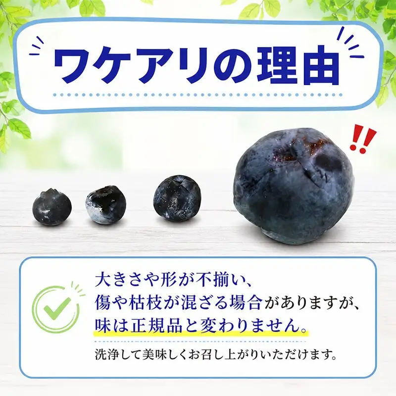 訳あり ブルーベリー 冷凍 1.2kg   blueberry