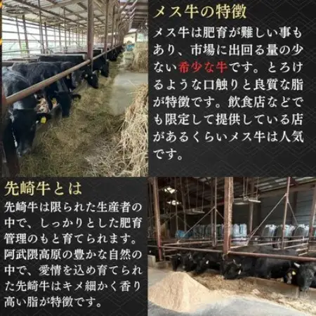 【先崎牛】A4等級以上の希少な厳選メス牛◆ローススライス2kg(500g×4パック)【配送不可地域：離島】【1737762】