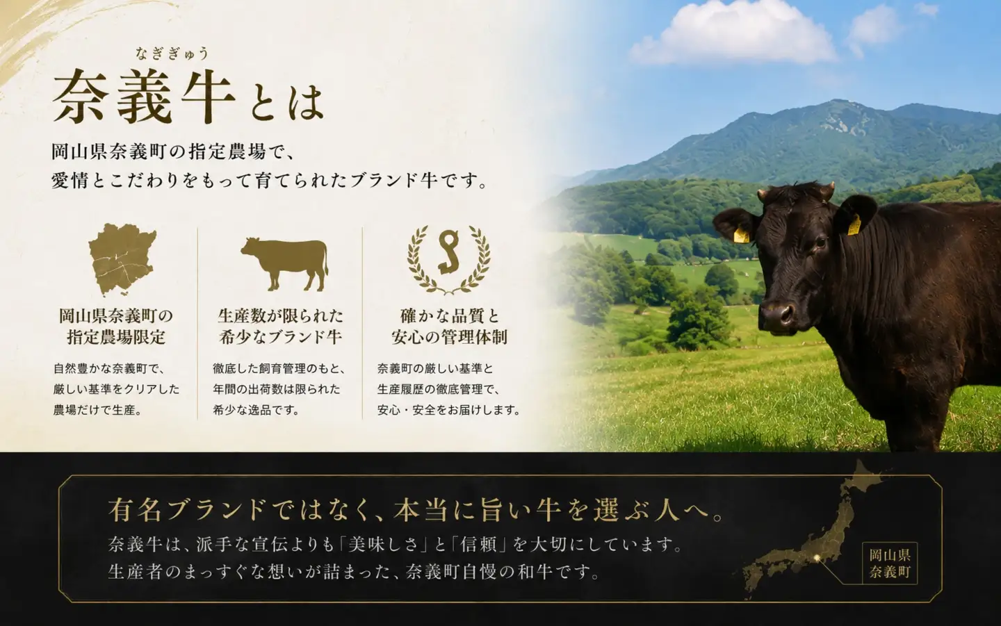奈義和牛 特撰 ロース ステーキ 300g / 奈義和牛 なぎビーフ ロース ステーキ 和牛 国産和牛 国産牛 牛肉 高級 冷凍 岡山県産 奈義町 【mtsy004】
