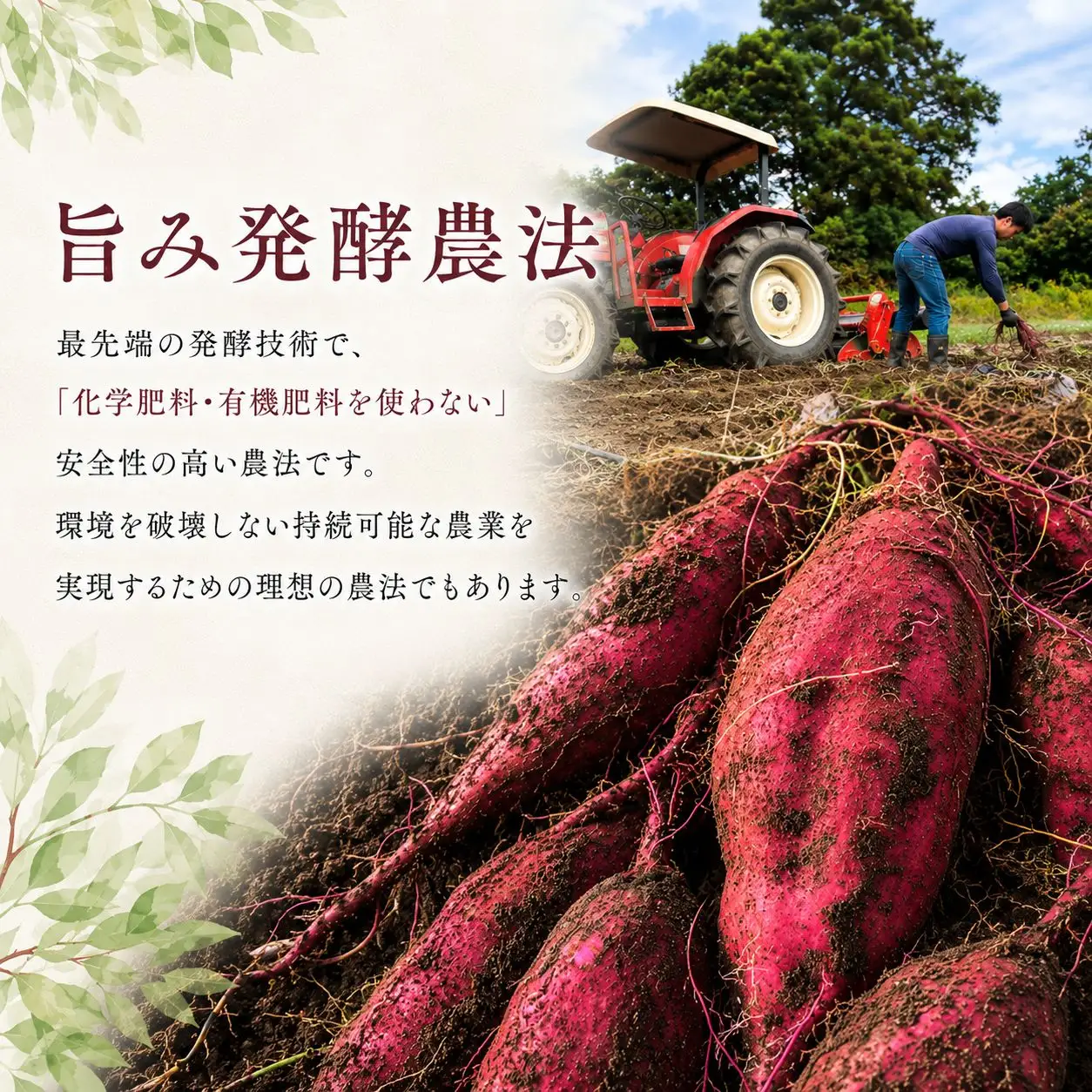 【訳あり】 干し芋 150g×5袋 紅はるか さつまいも
