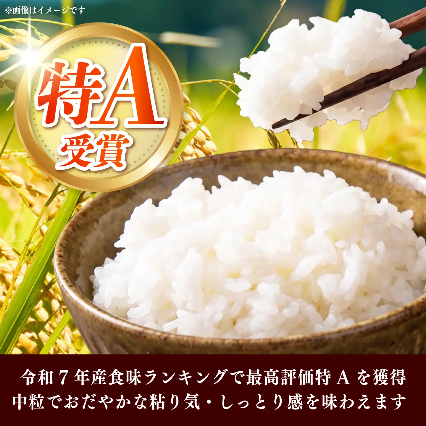 令和7年産　福岡県　元気つくし　10kg（5kg×2袋）《築上町》【カネガエ】[ABFA005]