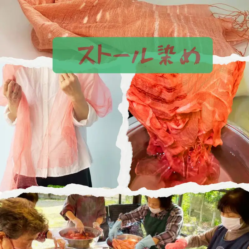 草木染め体験 茜染め ストール 1枚 【 茜染め 】