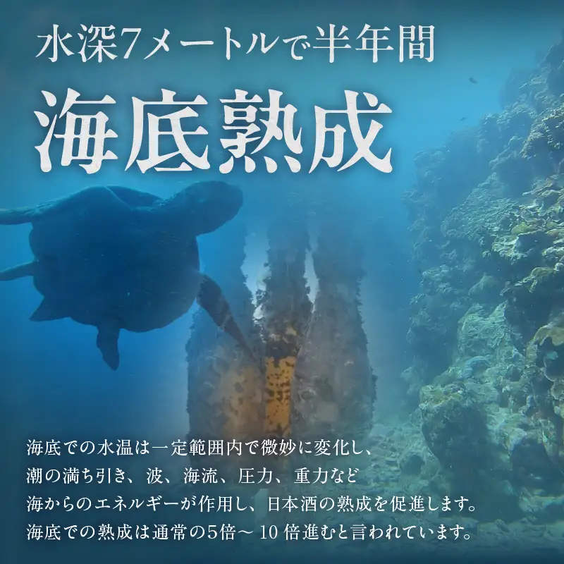 【テレビで紹介！】伊勢湾竜宮熟成酒「たまてばこ」【伊東】│日本酒 酒 常滑市