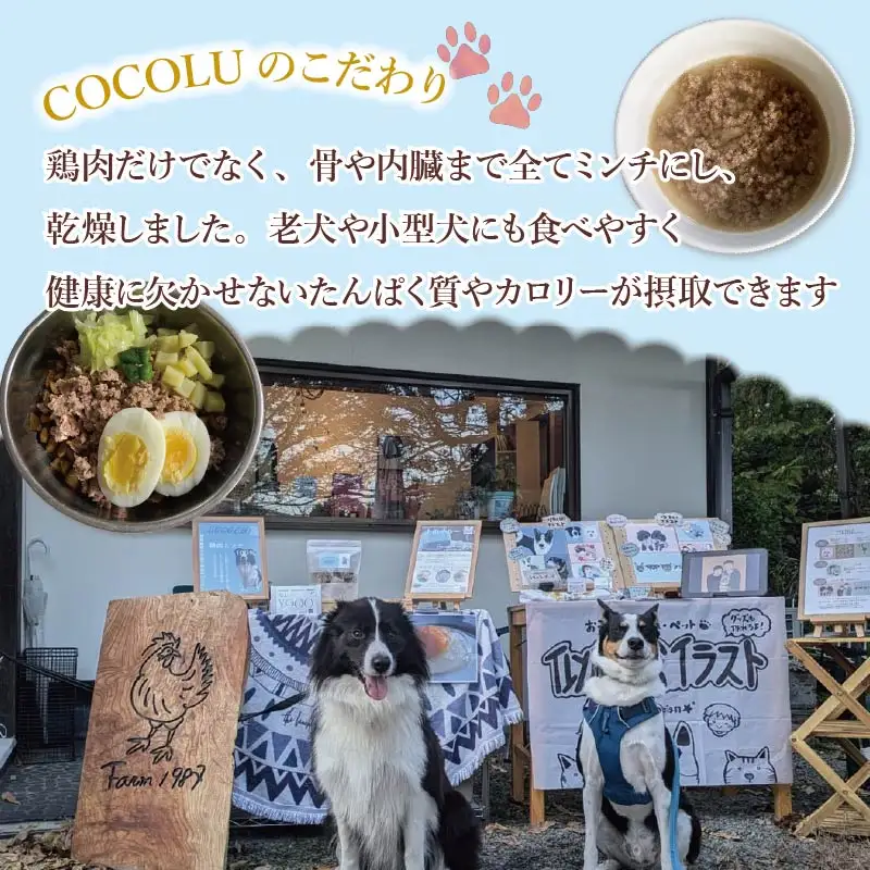 養鶏農家が本気で作るペットフード【COCOLU】鶏肉ミンチふりかけ100ｇ 3袋