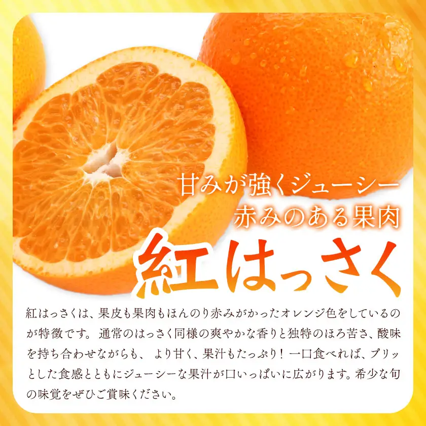 訳あり 紅はっさく サイズ混合 10kg エイワ商店