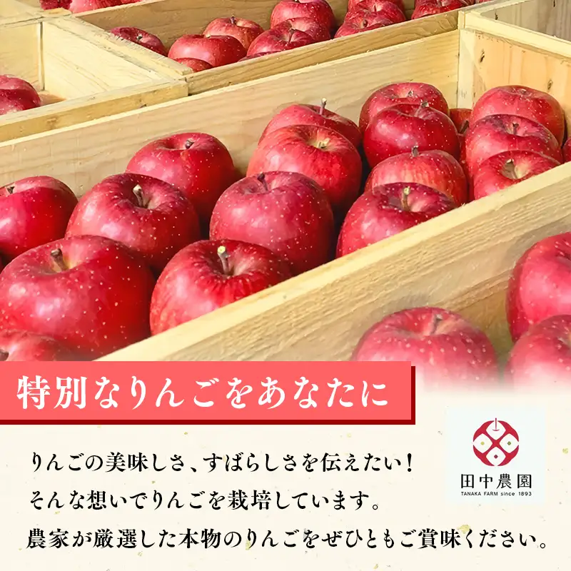 りんご 贈答用 サンふじ 約2kg 青森県平川市産 りんご