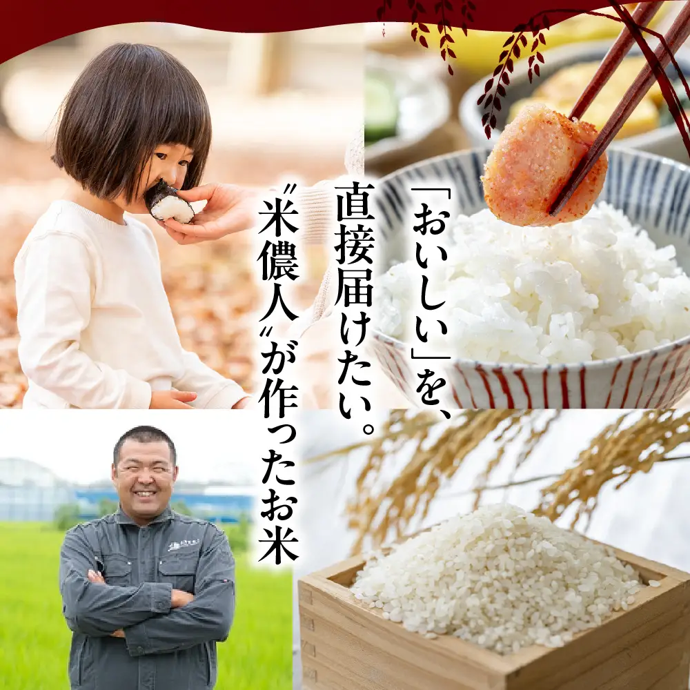 令和7年産 ミルキークイーン 5kg 定期便 12回 白米 ブランド米 ミルキー ﾐﾙｷｰｸｲｰﾝ お米 こめ 米 ※ コメ ご飯 生活必需品 日用品 定期 定期配送 人気 美味しい 取り寄せ 5キロ  12か月 送料無料 愛知県 豊橋市
