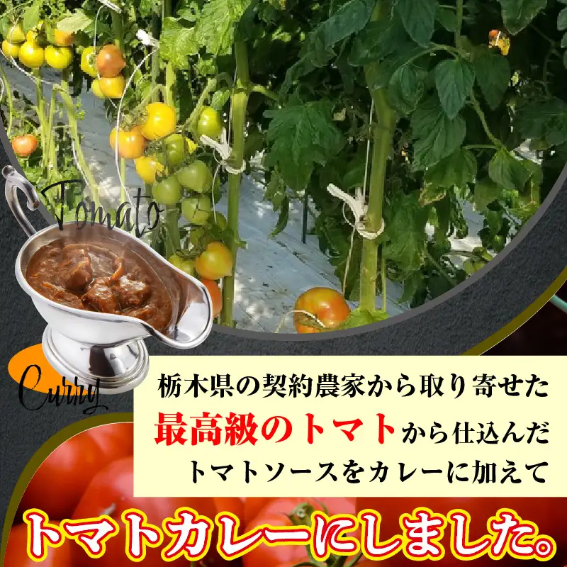 お肉屋さんのトマト入りビーフカレー　5袋_19-358