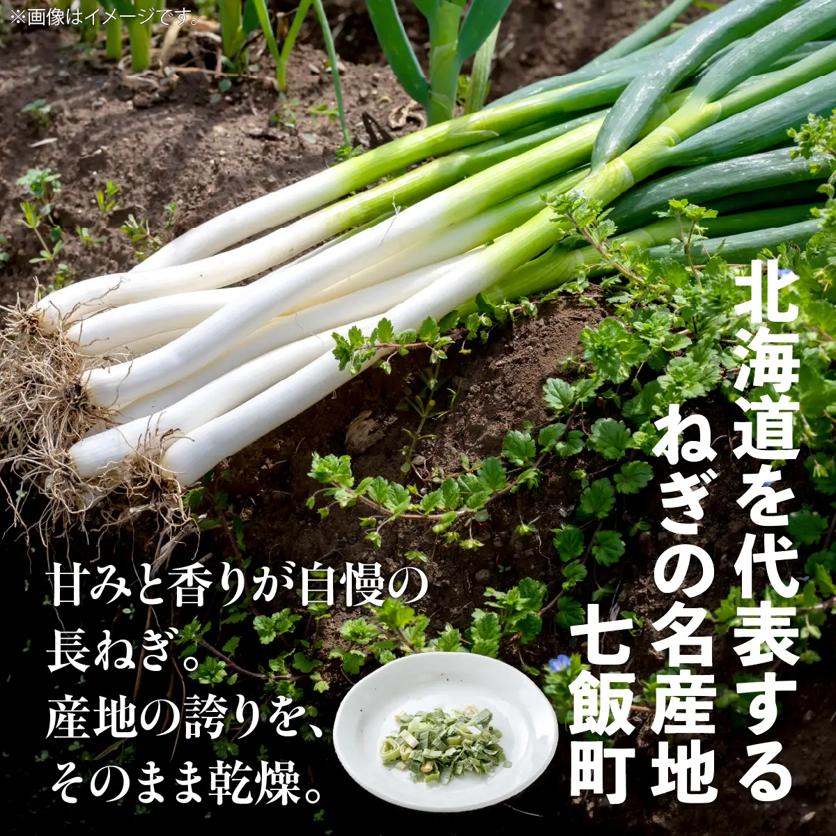 【先行予約】【2026年9月より発送】ななえさん10袋 NAD010