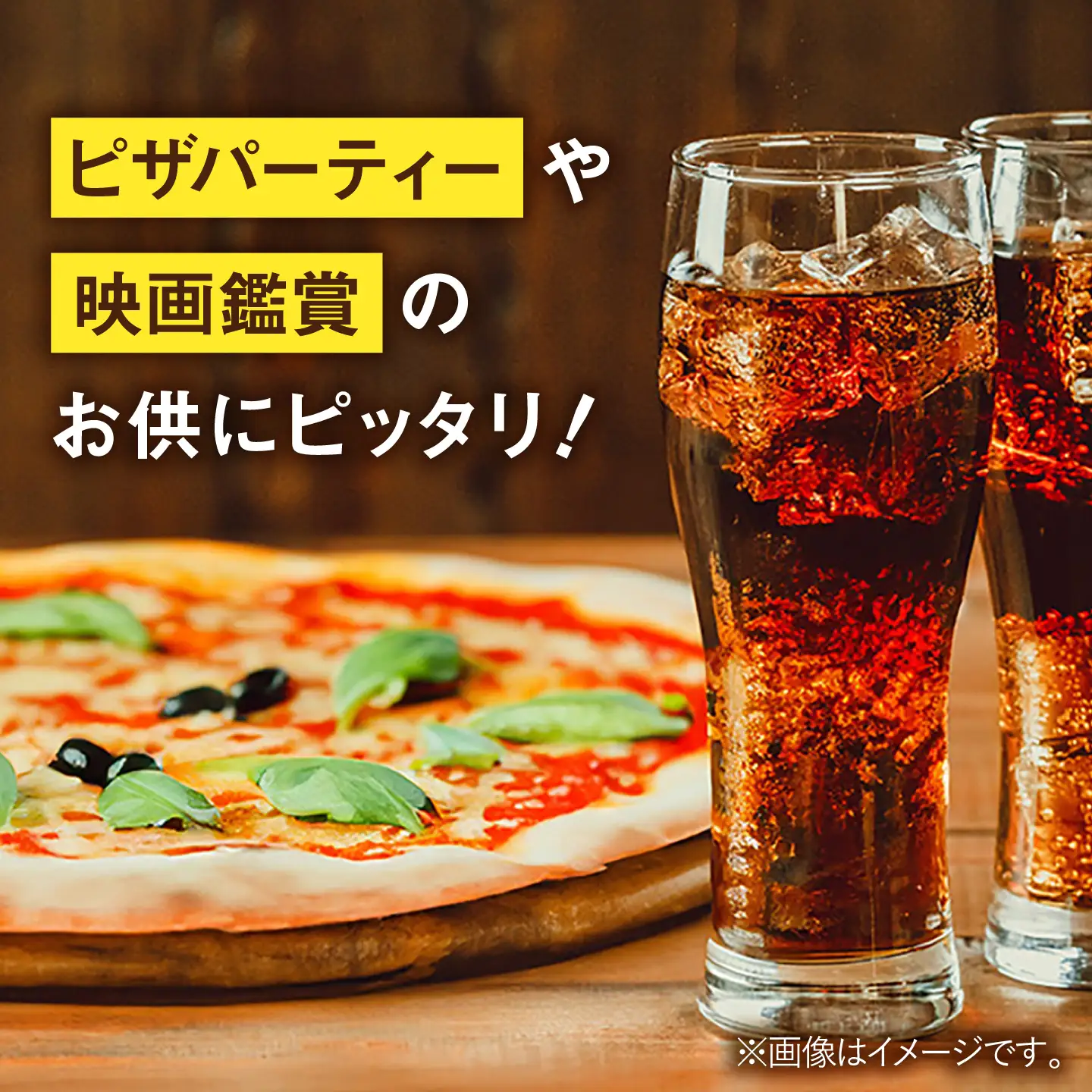 【全2回定期便】 コカ・コーラ 500ml×24本 / 炭酸飲料 ドリンク ジュース / 佐賀県 / コカ・コーラボトラーズジャパン株式会社[41AFAO043]