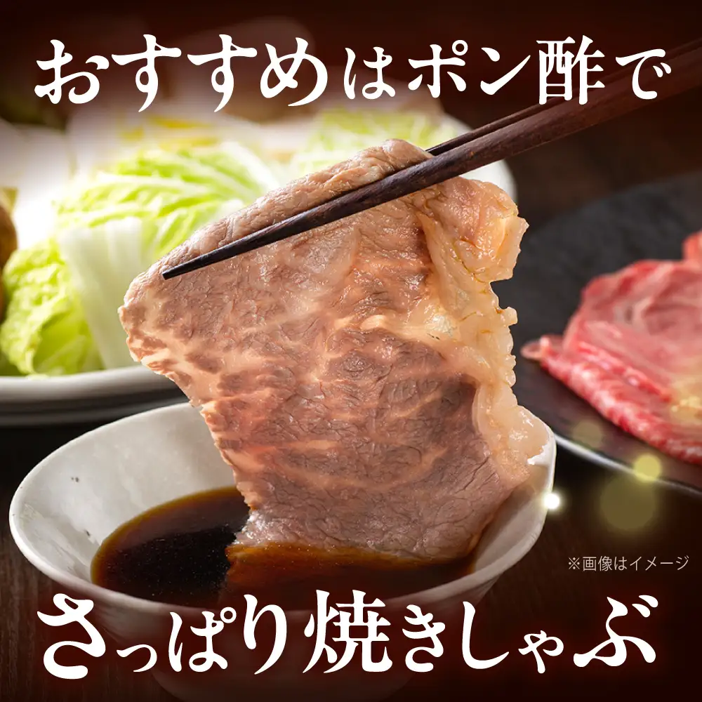 博多和牛 牛肉 赤身 モモ スライス 500g [BGBY005] モモ スライス