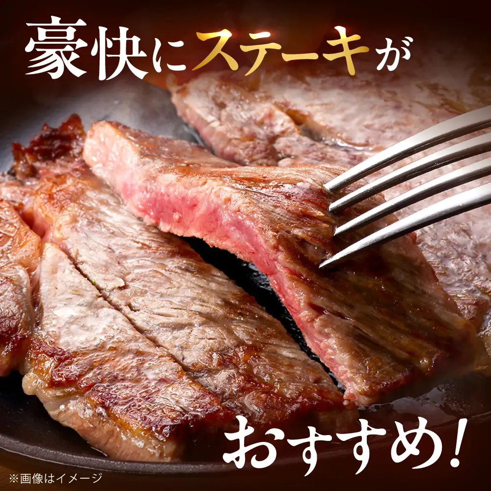 【全6回定期便】博多和牛 牛肉 サーロイン ステーキ 500g（250g×2）[BGBY075] サーロイン 定期 国産