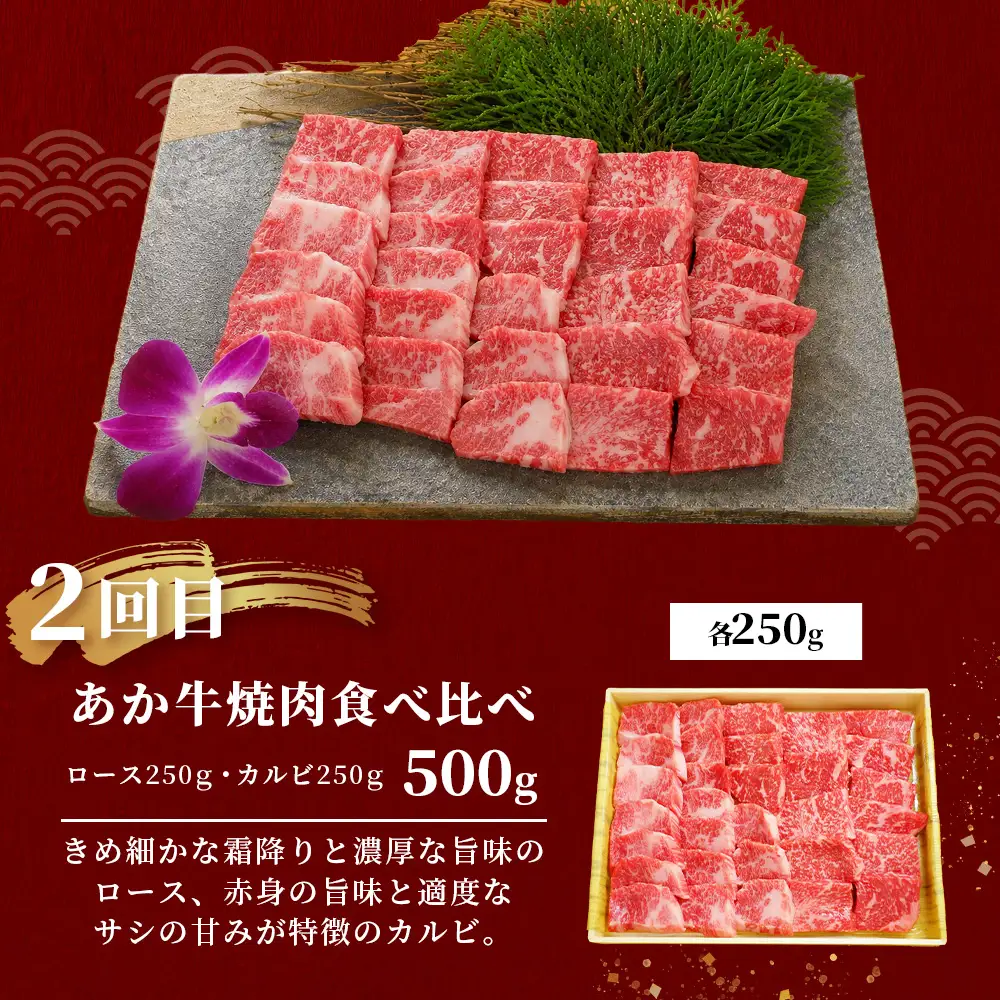 【定期便12回】あか牛 贅沢 定期便 肩ロースすき焼き500g・焼肉食べ比べ500g・赤身すき焼き肉800g・サイコロステーキ800g・ロースステーキ600g・4種のステーキセット 牛肉 肉 ロース カルビ すき焼き 焼肉 ステーキ サーロイン ランプ ヒレ 三角バラ定期便 熊本県 046-0804