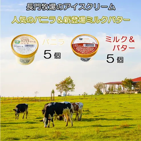 【ふるなびWEEK対象】長門牧場アイスクリーム10個プレミアムセットCA-1　白い食べ比べセット（プレミアムフレーバー「ミルク＆バター」、バニラ各5個）