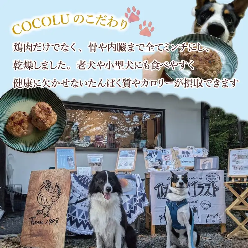 ペットフード 鶏肉 ミンチ 犬 猫 ごはん ペットフード