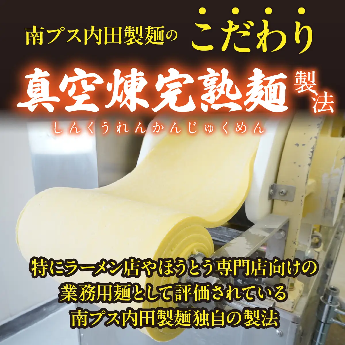 【山梨郷土料理】生ほうとう麺8人前セット 特製だし入り味噌だれ付きALPGH004