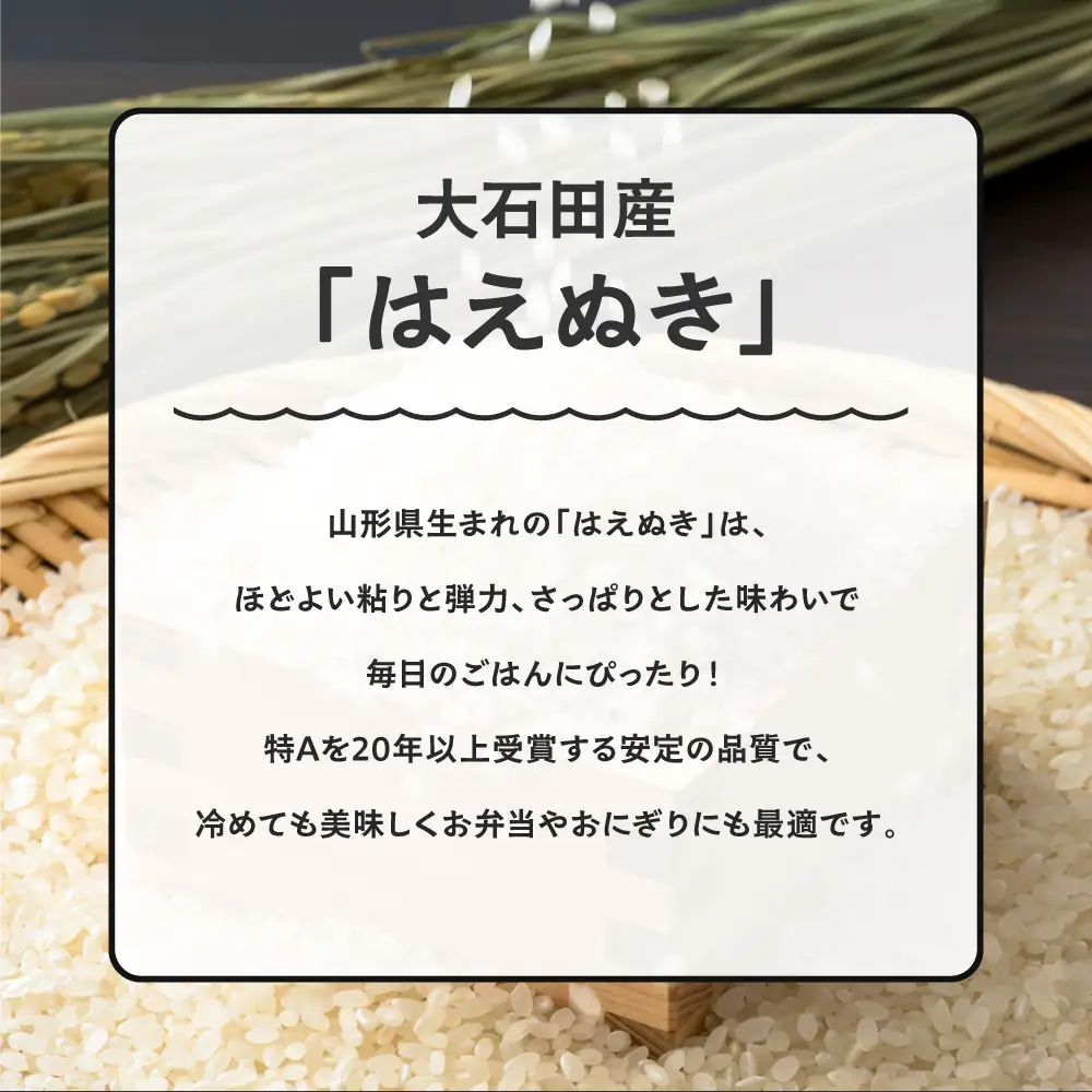 【先行予約】 新米 米 はえぬき 5kg 精米 令和8年産 特別栽培米 2027年1月上旬発送 ※沖縄・離島への配送不可 ja-hasxb5-1f