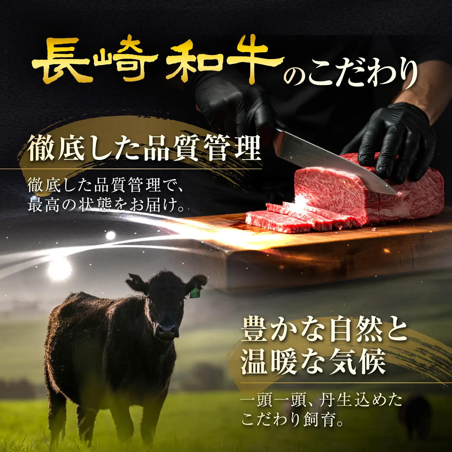 長崎和牛ヒレステーキ 約200g×4枚 計800g / ステーキ すてーき ヒレ ひれ ヒレ ヒレステーキ ヒレ肉 和牛 牛肉 肉 牛 / 大村市 / まるしん商会[ACCD057]