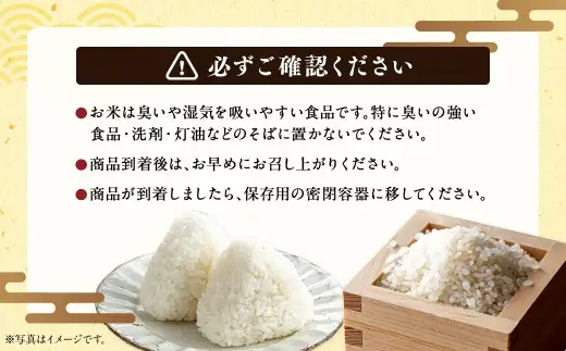 〈 令和8年産 〉 浦臼産ななつぼし 精白米 10kg （ 5kg × 2袋 ） お米 米 こめ コメ 白米 白飯 飯 ご飯 おにぎり 国産 北海道産 ブランド米 ブランド 艶 粘り 甘み 【 2026年10月下旬より順次発送 】