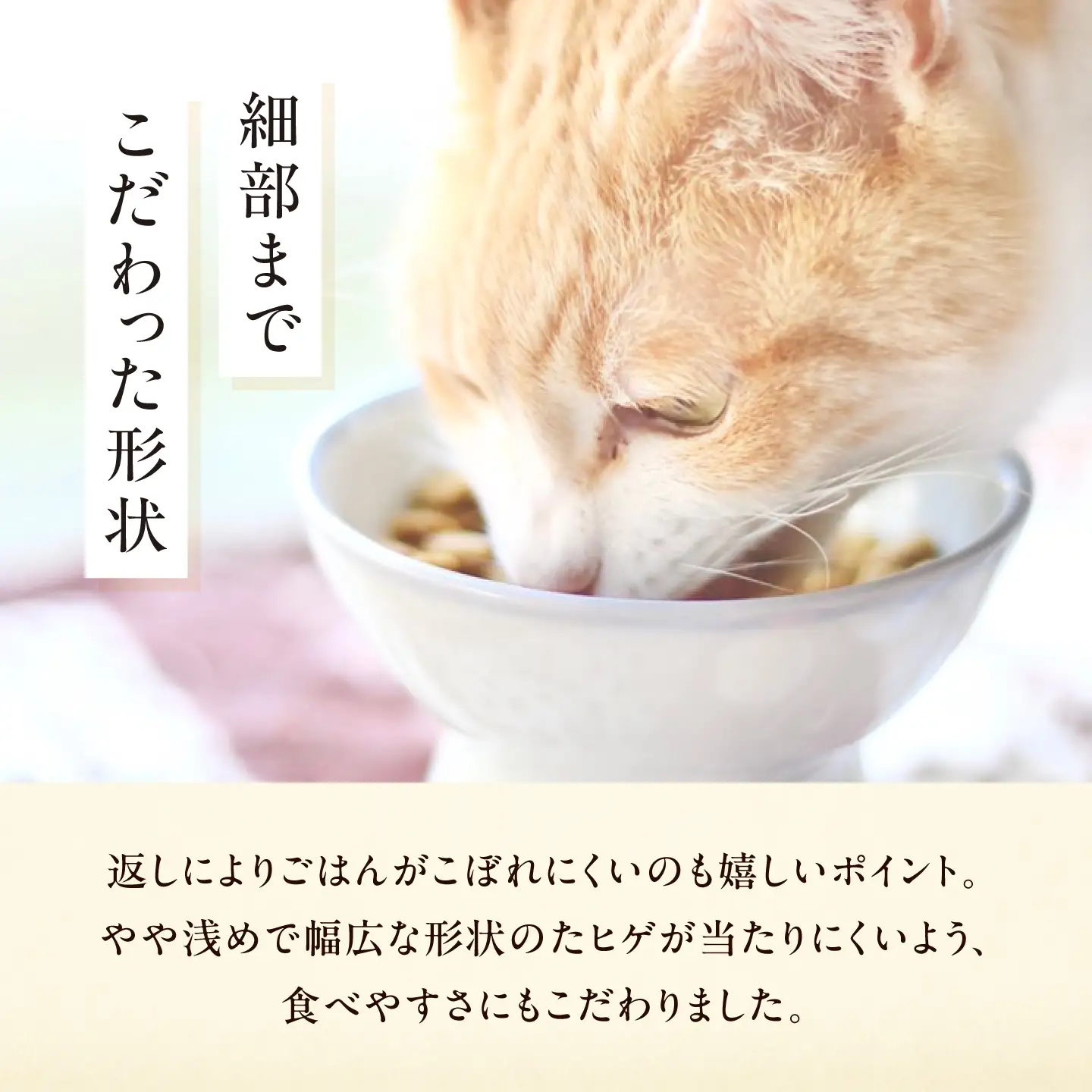 砥部焼 ペット用フードボウル(さかな) / 砥部焼 食器 器 焼き物 ペット ペット用品 ペット食器 餌入れ 食洗機 レンジ 猫 犬 かわいい 手作り ギフト プレゼント / 愛媛県砥部町/ 青花窯[BJCR003]