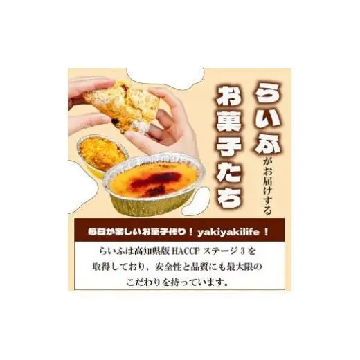 高知の牛乳で作ったミルク小豆のパンナコッタ風ゼリー 15個 