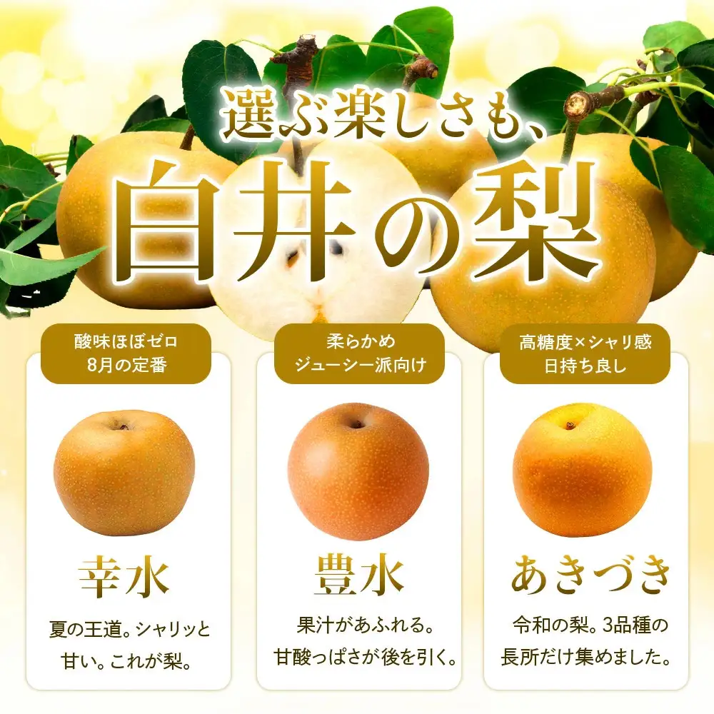 幸水3kg 家庭用