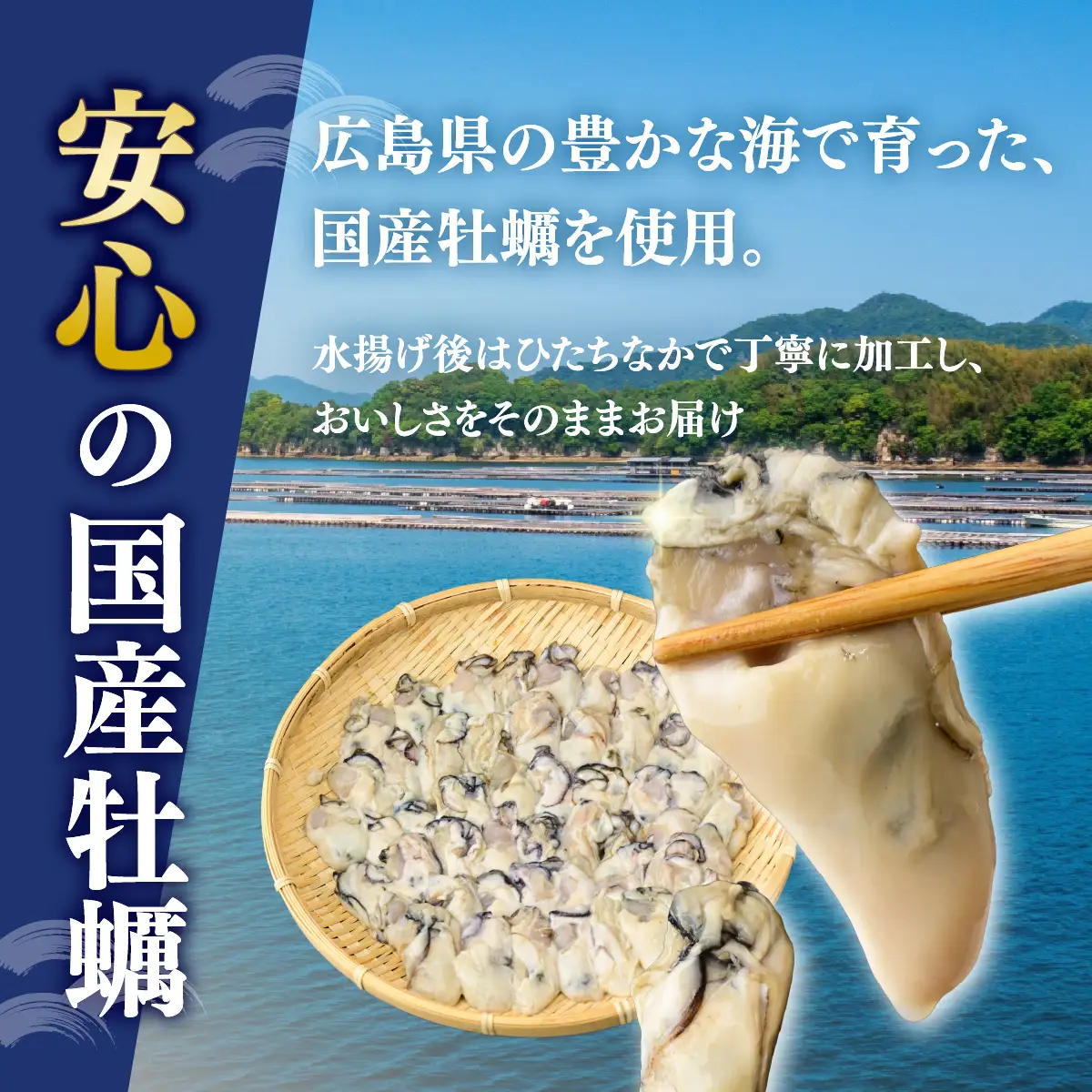 冷凍牡蠣 Mサイズ 1kg 国産  | 加熱用 牡蠣 かき カキ