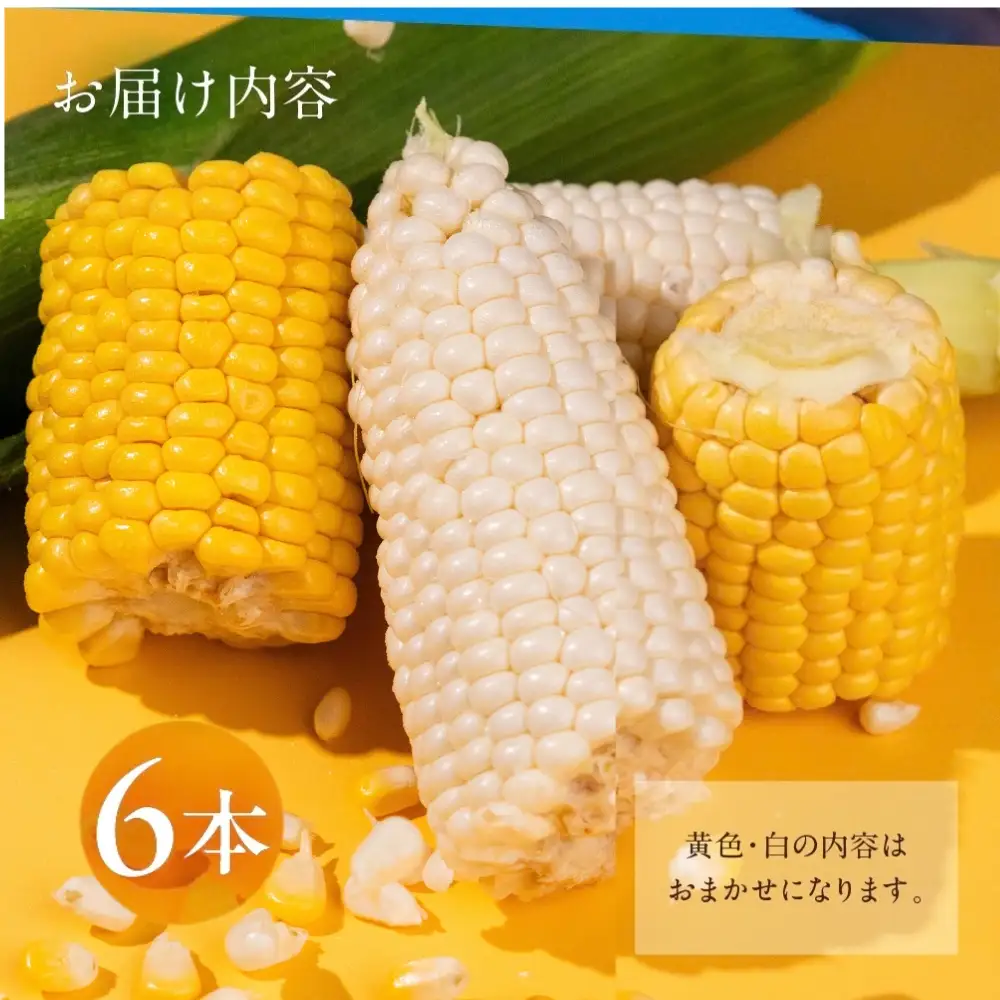 【先行予約】《2026年6月～7月頃発送》令和8年産 品種おまかせ とうもろこし 6本