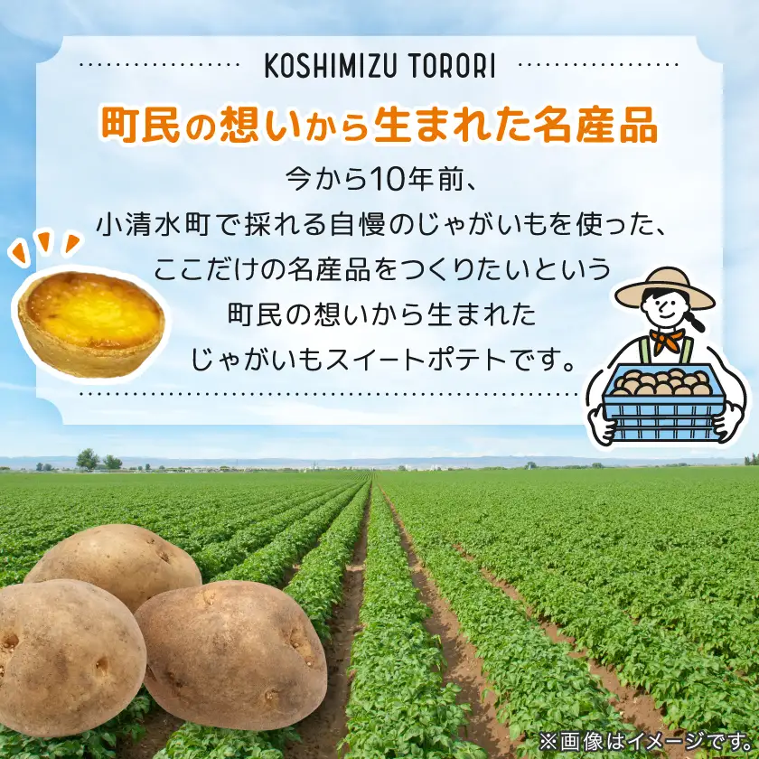 【北海道小清水町】小清水町のじゃがいもで造ったスイートポテト「小清水とろり」10個セット【配送不可地域：離島】【1739468】