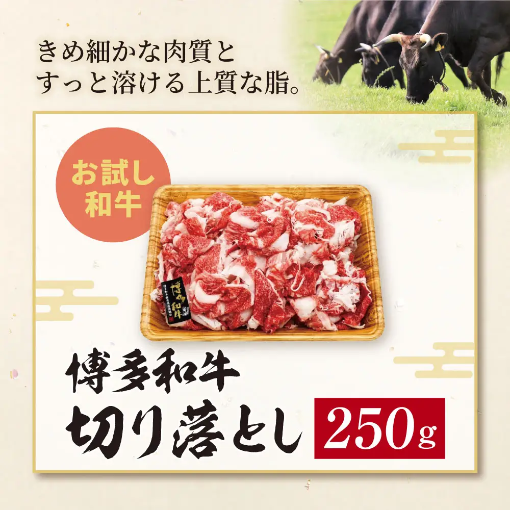 Z59-27 博多和牛A4ランク以上 切り落とし 250g 博多和牛