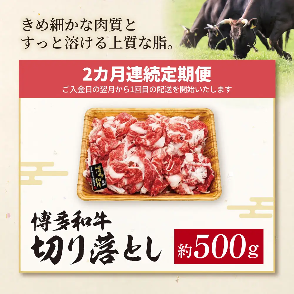 Z59-98 定期便 博多和牛 A4ランク以上 切り落とし 約500g 【年2回】 博多和牛
