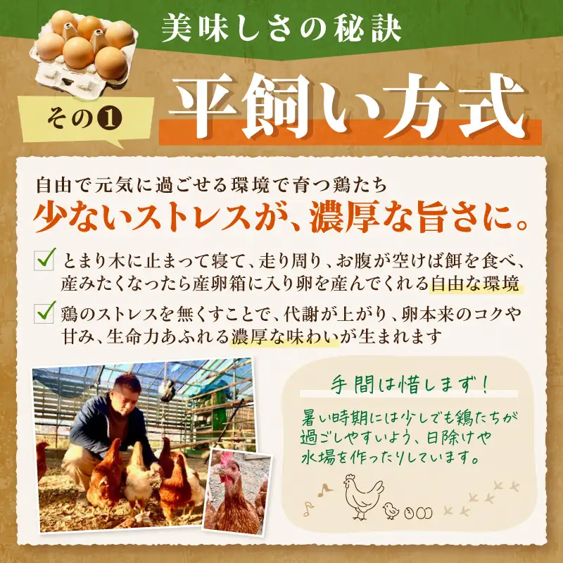 とまり木ファームの平飼い卵（6個入×3パック）【124D-001】