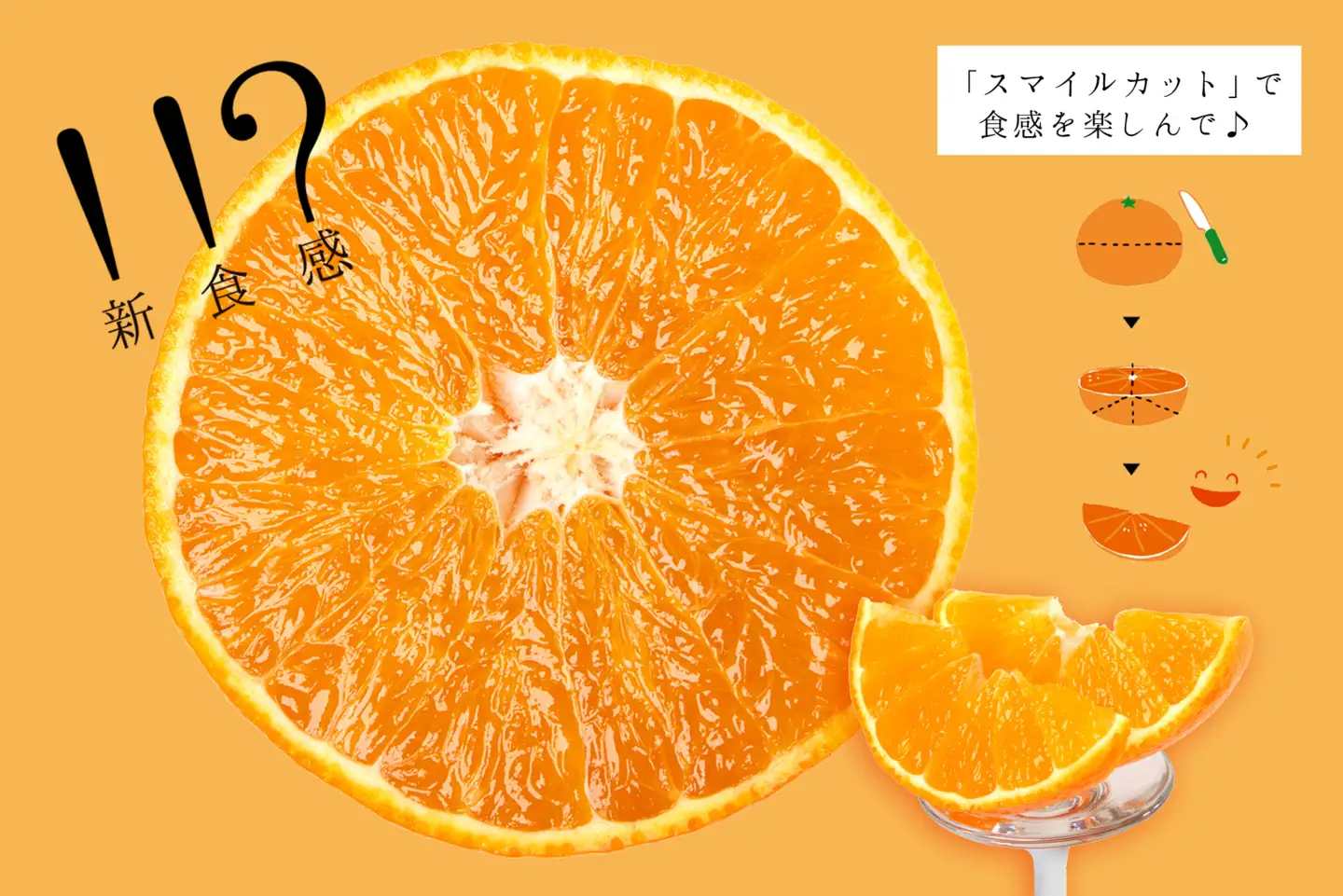 【先行受付】コウ果樹園　華まどんな2kg YWTG032