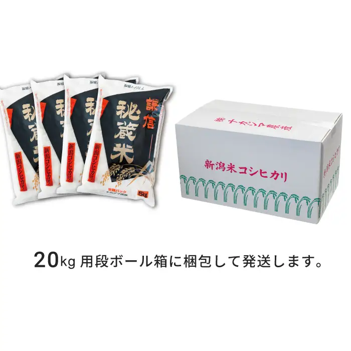 【先行予約・定期便】謙信秘蔵米 コシヒカリ 奇数10kg/偶数20kg コシヒカリ