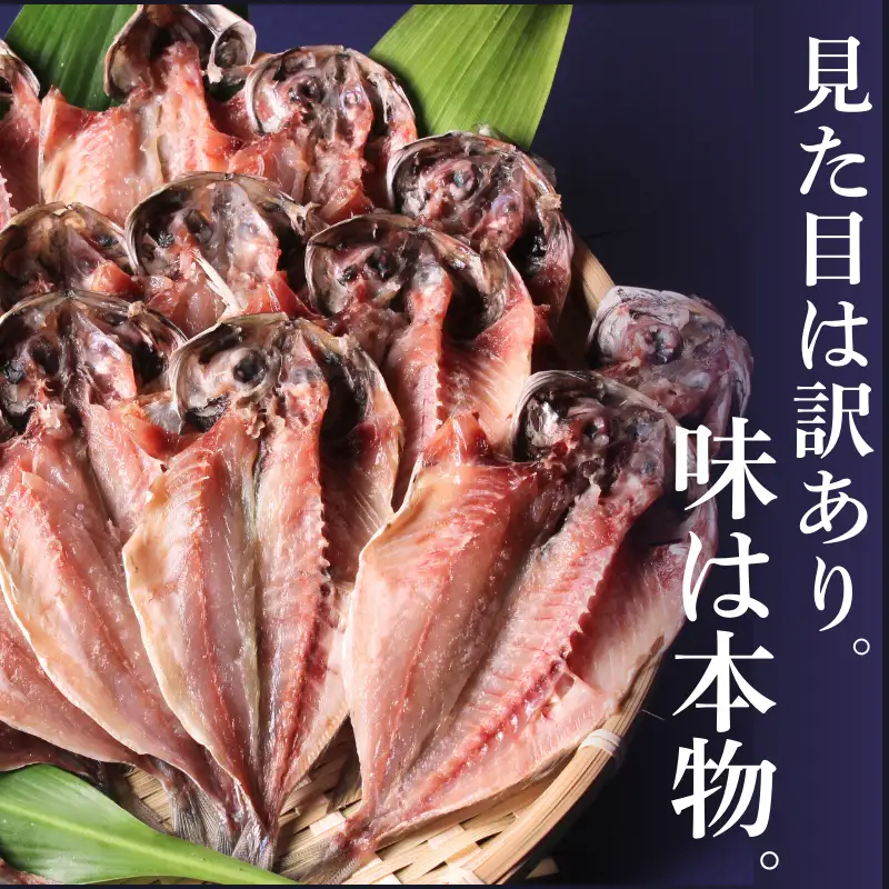 アジの干物セット 【 干物 訳あり 】