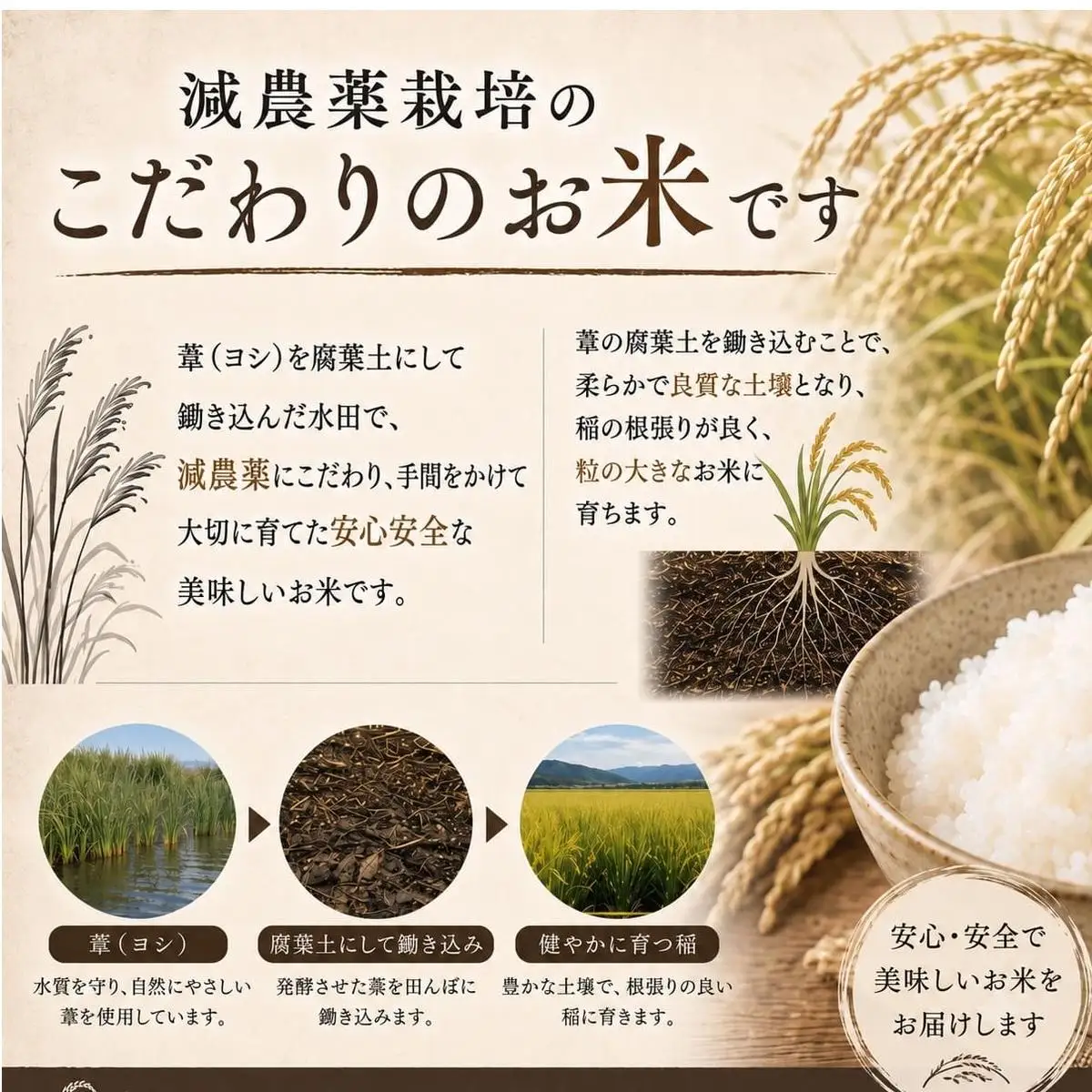 【12月配送】 ＜先行予約＞ 令和8年産 つや姫 精米 10kg（5kg×2）単品 新米 米 お米 ご飯 白米