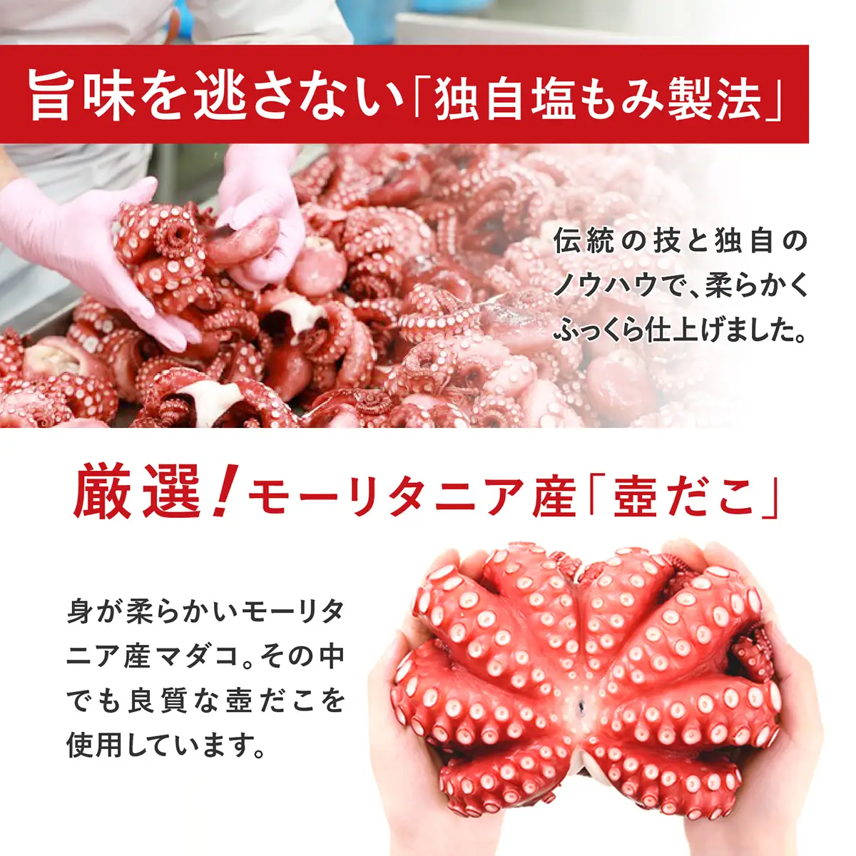 カット済みの蒸し蛸　まるごと冷凍1尾(約1kg×1)冷凍 | カット 刺身用 ダコ タコ たこ 刺身 蛸