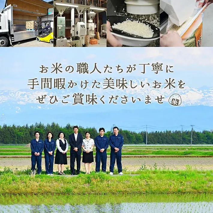 ≪新米予約≫ 令和8年11月下旬お届け 無洗米 雪若丸 5kg×1袋 山形県産 令和8年産米 ご希望の時期頃お届け 東北 山形県 遊佐町 庄内地方 精米 白米 小分け 少人数 阿部ベイコク[1588R08M11c]