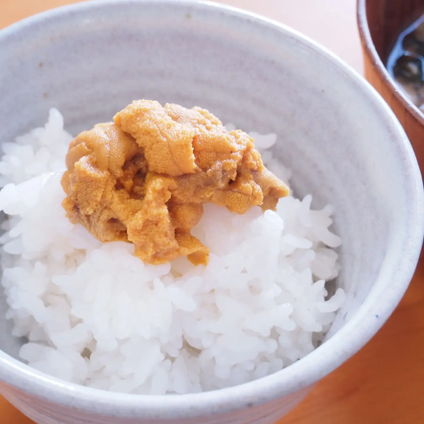 【冷凍】壱岐産うに丼　 40g×2食　《壱岐市》　【一支國屋】[JCC030]