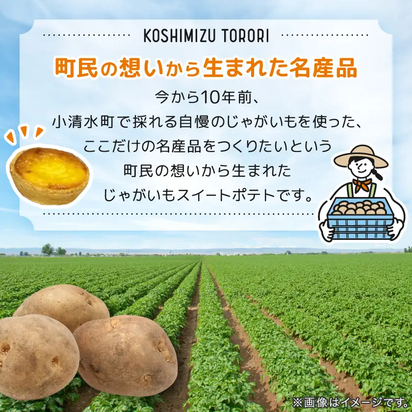 【北海道小清水町】小清水町のじゃがいもで造ったスイートポテト「小清水とろり」5個セット【配送不可地域：離島】【1739467】